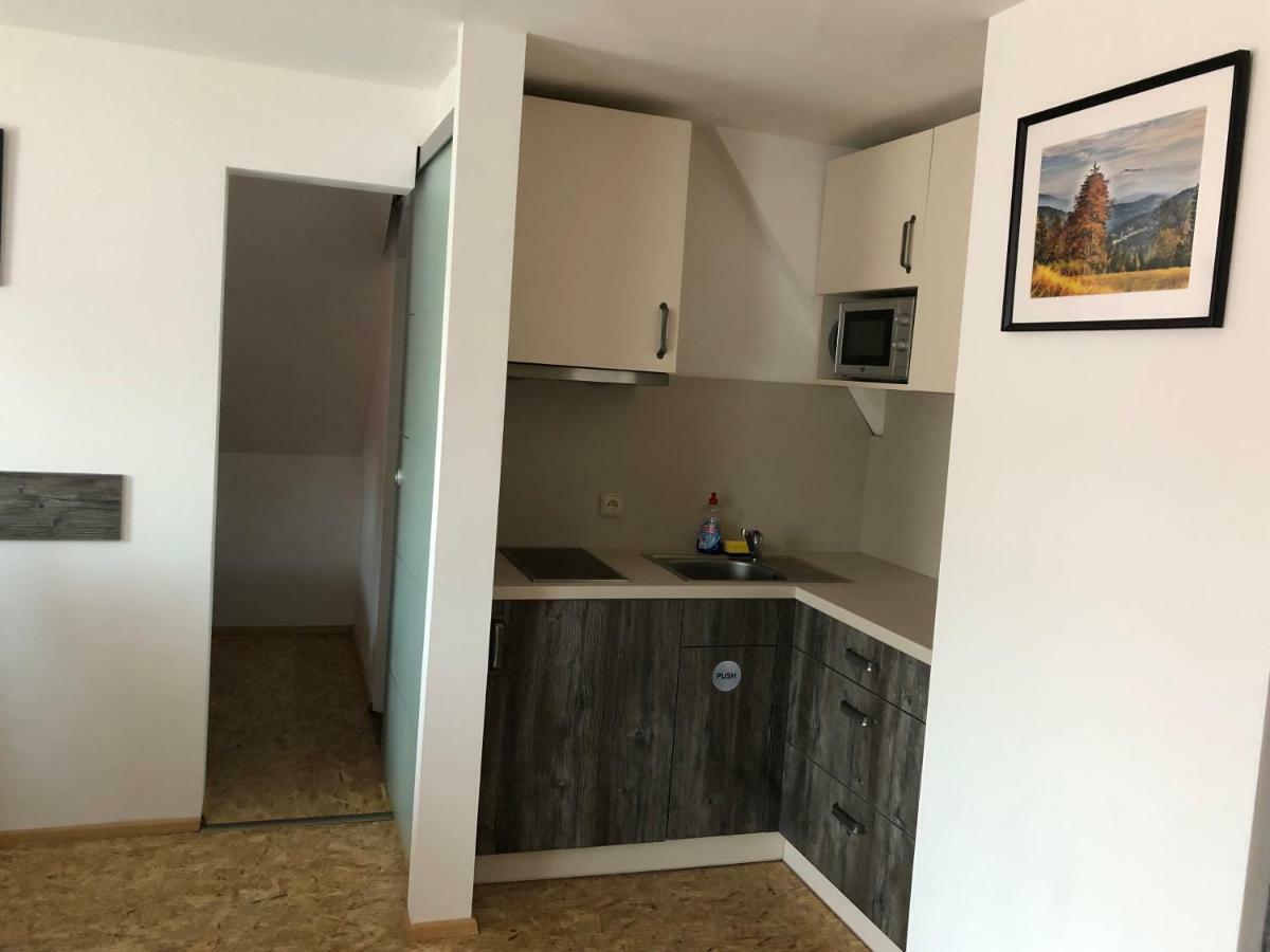 Železná Ruda Chata Obzor מראה חיצוני תמונה
