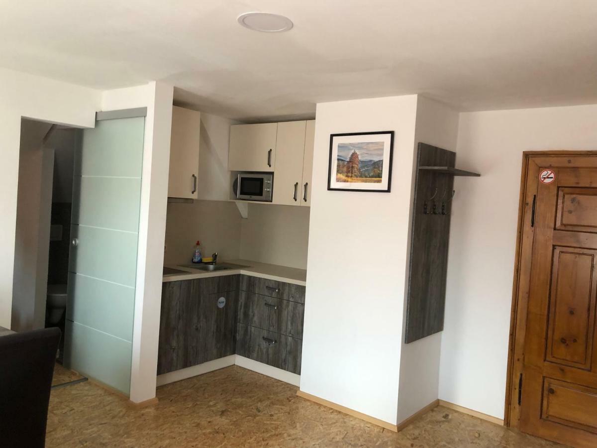 Železná Ruda Chata Obzor מראה חיצוני תמונה